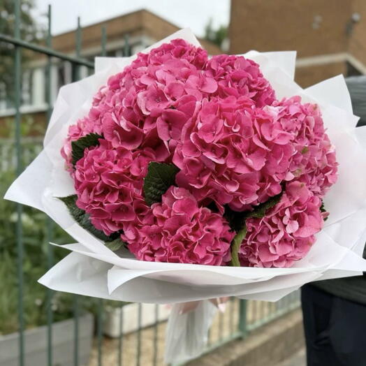 🌸Букет из насыщено розовых голландских гортензий (9 шт)🌸