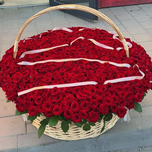 Корзина из 501 красной розы