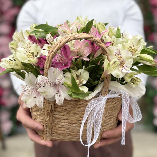 Акция! Корзинка «Пикник»: стойкие 11 штук альстромерий 🧺🌸