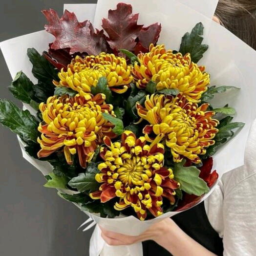 Букет из хризантем с куеркусом