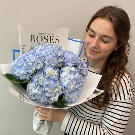 Lush bouquet of Hydrangeas