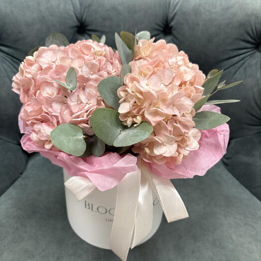 BLOOM ROOM