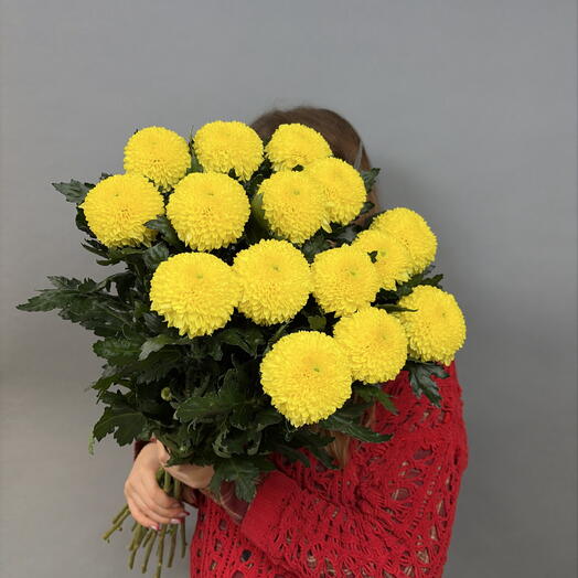 Пачка Хризантема жёлтая (15шт)