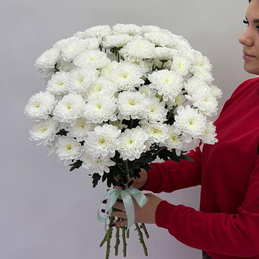 Х040 Роскошные Алтайские кустовые хризантемы 9 шт