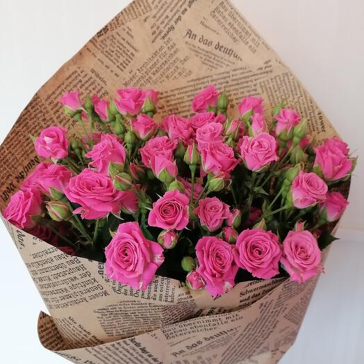 Bush roses