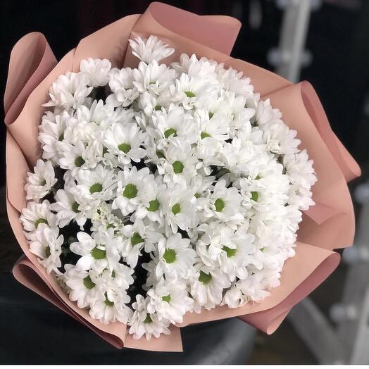 Daisies