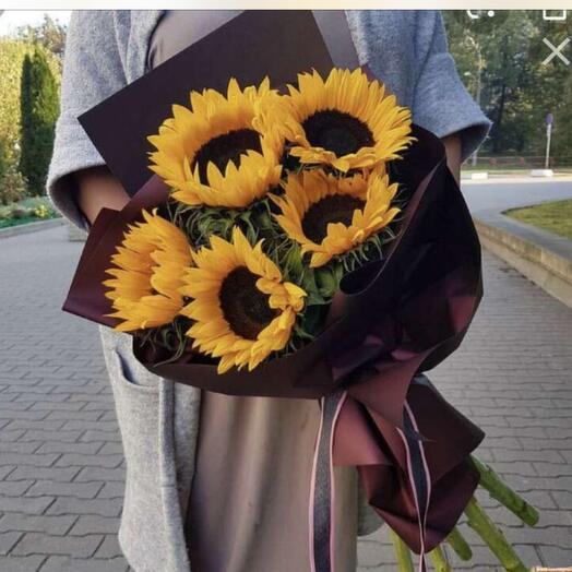 5 gorgeous sunflowers (Holland)