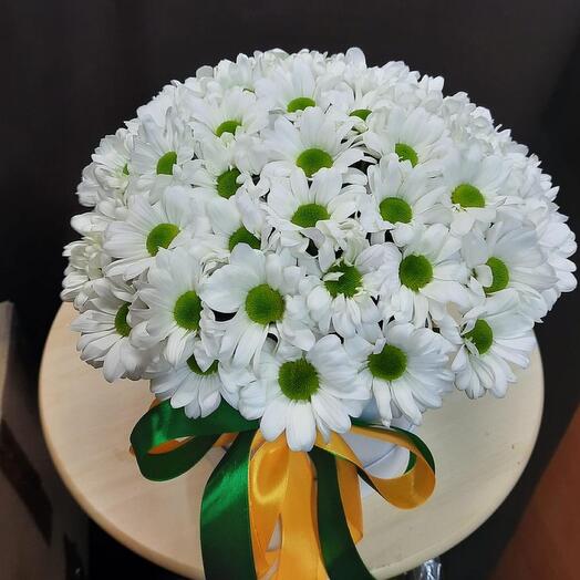 Chrysanthemum in a box