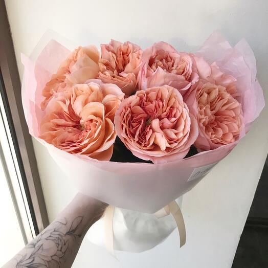 Кружевное моно из пионовидной розы Pink Expression в аквабоксе