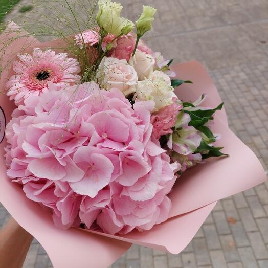 Collection "hydrangea"