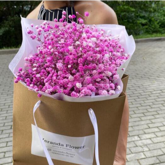 Розовая гипсофила 💕