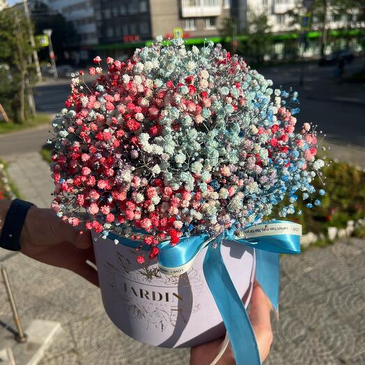 Радужный Бокс💐