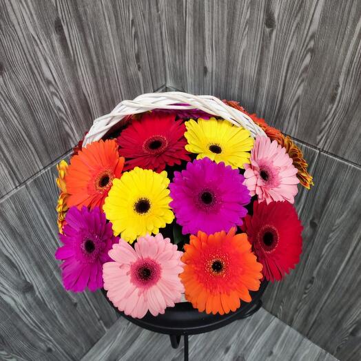 21 gerbera mix in the basket
