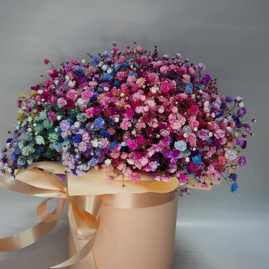 Gypsophila in a hatbox