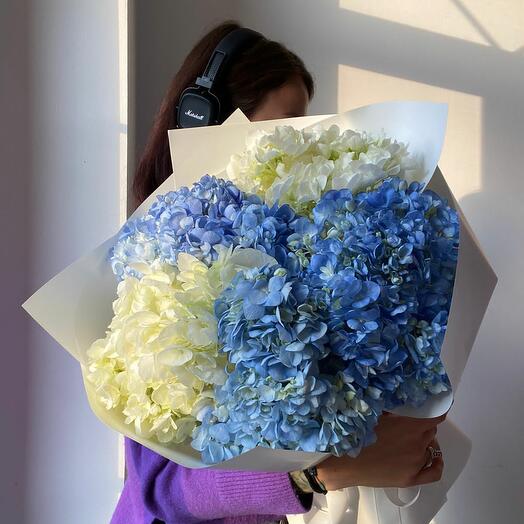 Hydrangeas mix 5 pcs