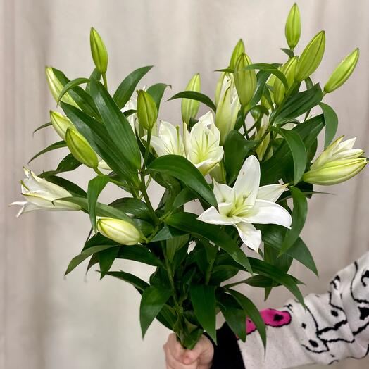Bouquet of 5 white lilies