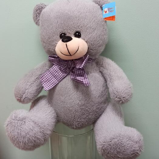 Oso gris