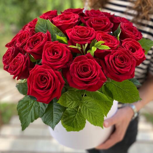 Rosas rojas en una Caja