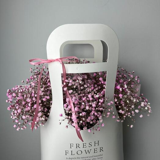 Стойкая гипсофила