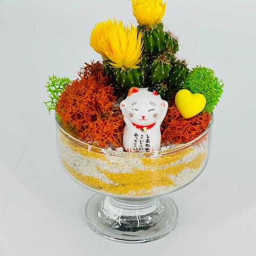 Настольный флорариум с кактусом и китайским котиком