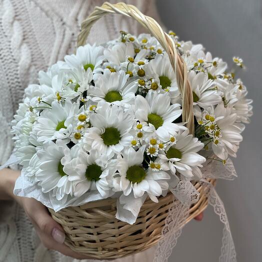 Basket of "Cute daisies" with chrysanthemums