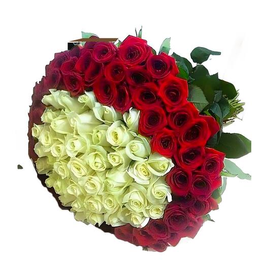 Hottie Roses - 75 Red and White Roses Bunch