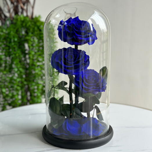 Forever Rose Blue Large (preserved rose)