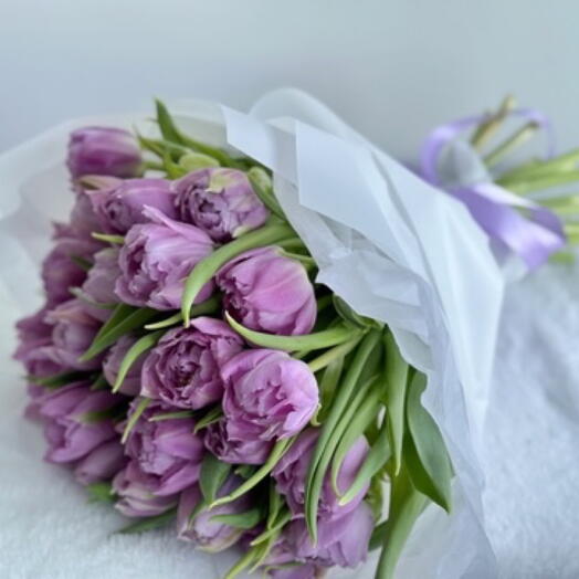 50 Piones tulips