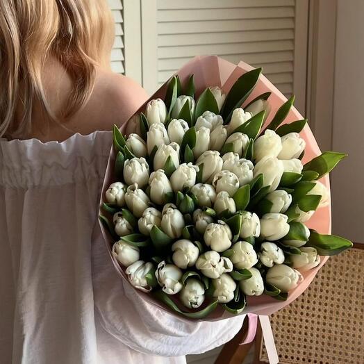 Tulip-tenderness