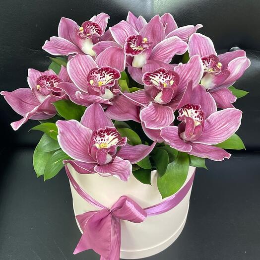 Orquídea en Caja