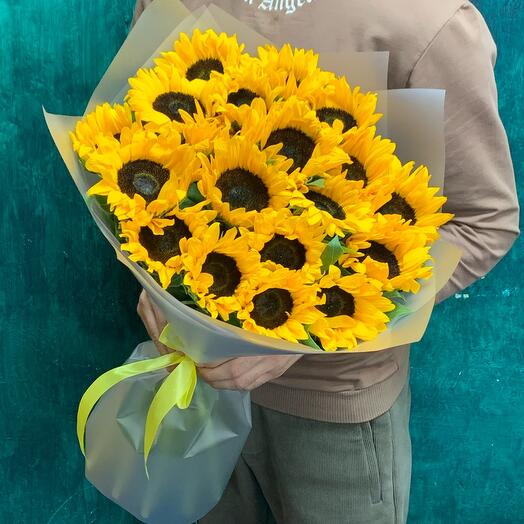 Подсолнух 19