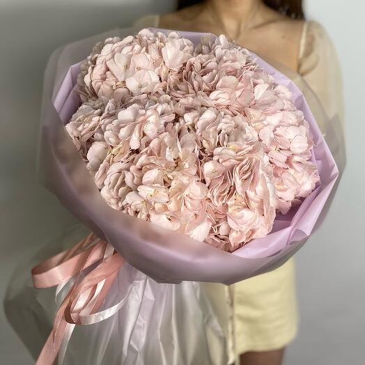 Bouquet of 5 pink hydrangeas in a package