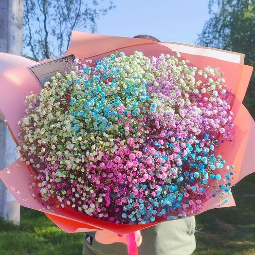 Радужная гипсофила