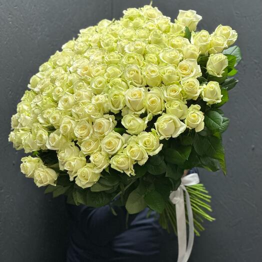 101 white roses