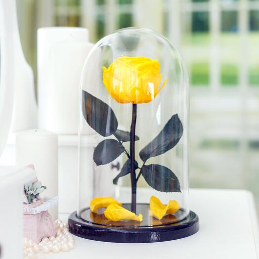 Роза в колбе «Premium» жёлтая