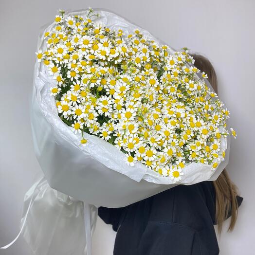 Романтичное моно из ромашек 🌼 букет для счастья 💕