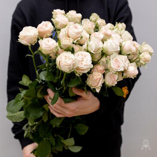 Букет из 5 кустовых роз SOFIE