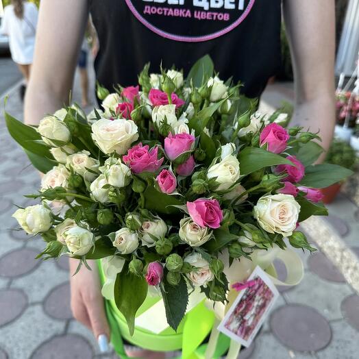Композиция «Персеида»