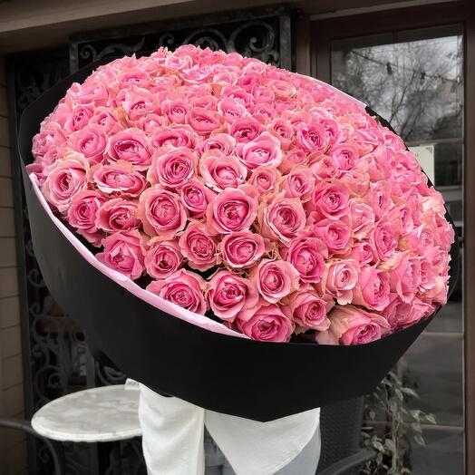 151 rose pink