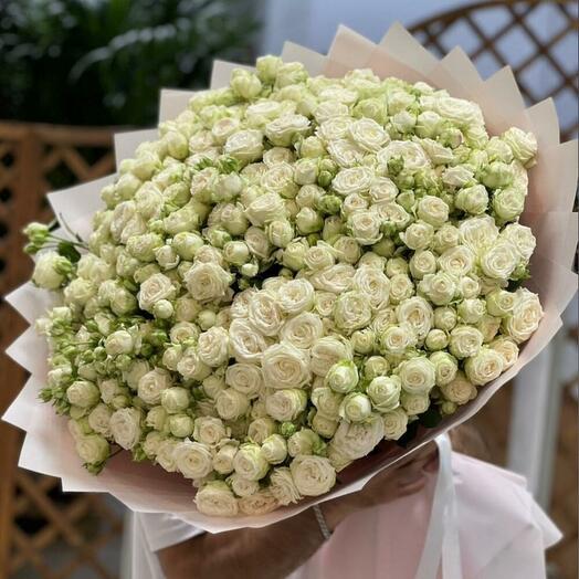 101 БЕЛАЯ ПИОНАВИДНАЯ КУСТОВАЯ РОЗА