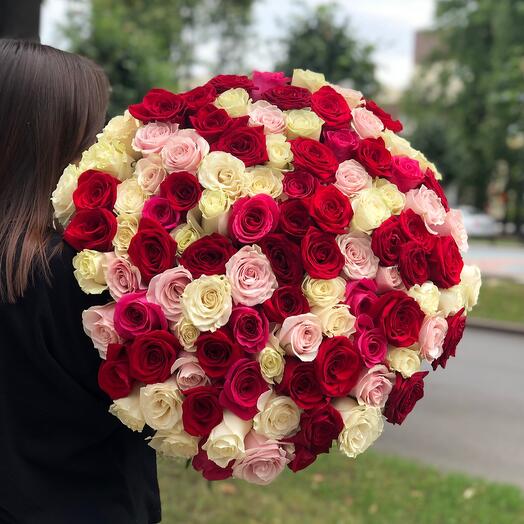 101 роза микс