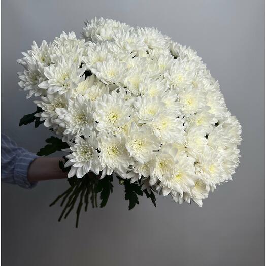 Букет из 17 кустовых хризантем