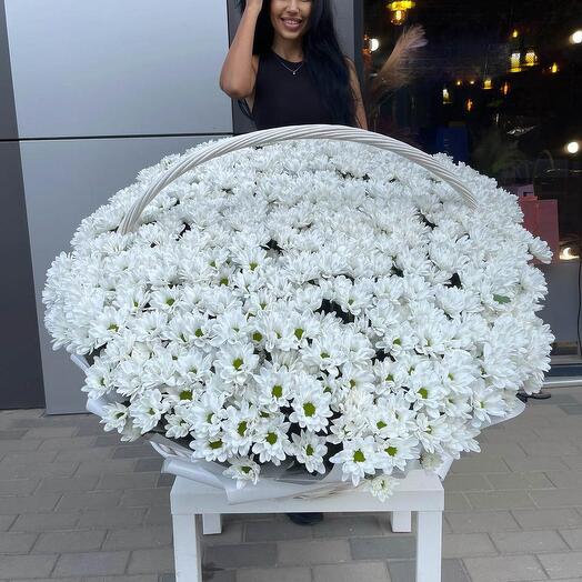 Корзина с цветами 101 хризантема