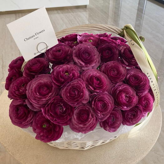 Dark Pink Ranunculus