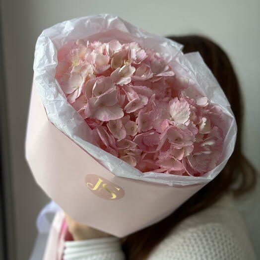 Pink hydrangea