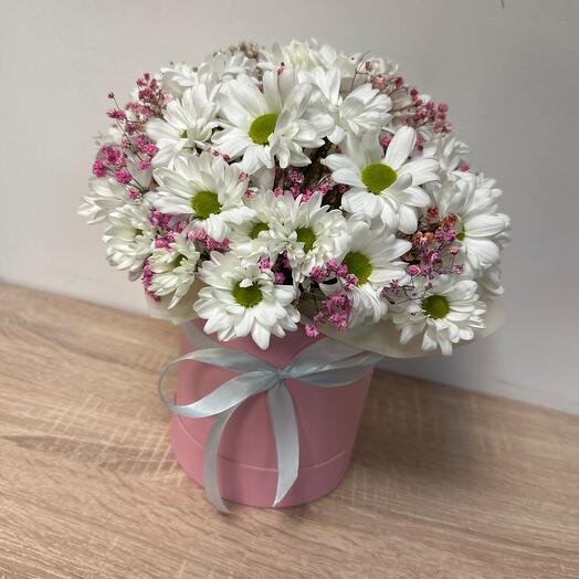 Flowers in a box of 5 chamomile chrysanthemums