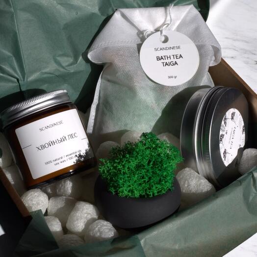 Подарочный набор "Taiga" аромасвеча, мох в кашпо, таежный чай, соль для ванны