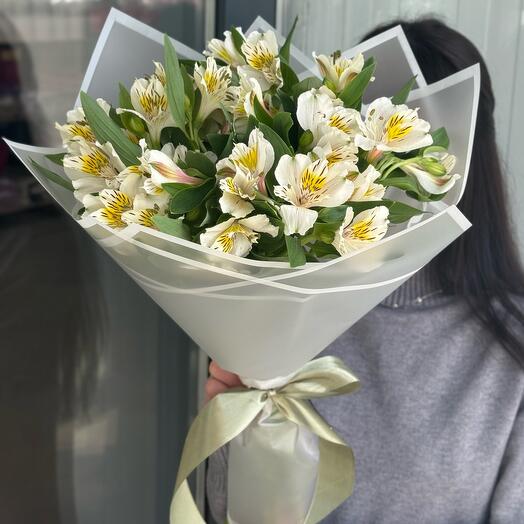 Нежная альстромерия