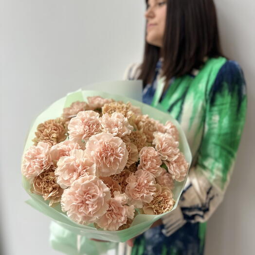 Mono dianthus Peach   Caramel