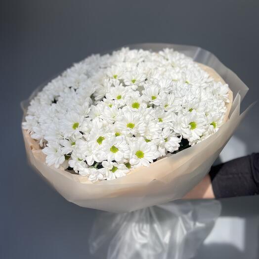 Bouquet of bush chrysanthemums "Recognition"